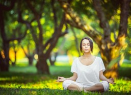 华体会网站_斯图加特对阵法兰克福，反击风暴中的破局者—防守坚盾与进攻利刃的碰撞