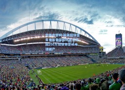 华体会官网-前英超球星麦克法登深陷财务泥潭，因250万镑债务正式申请破产