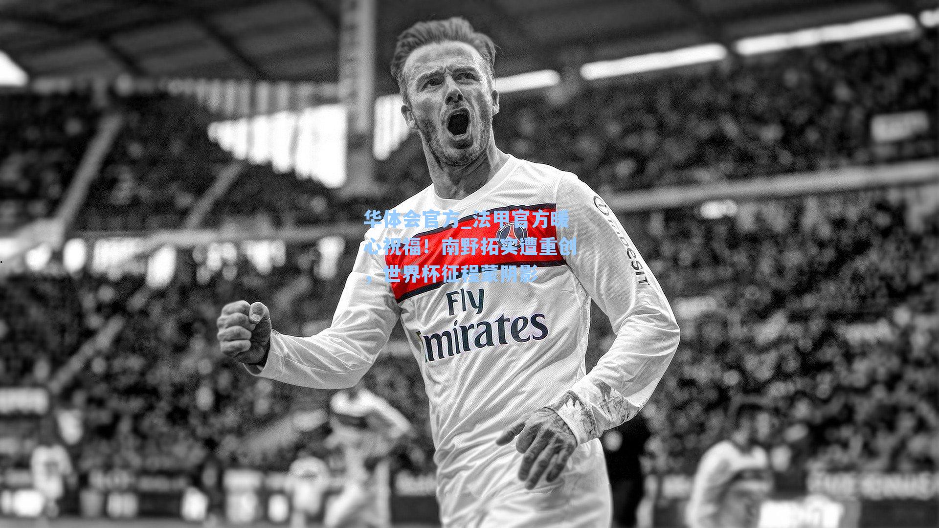 法甲官方暖心祝福!南野拓实遭重创,世界杯征程蒙阴影